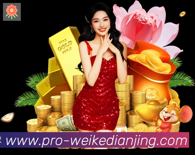 未来规划